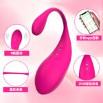 App Long-Distance Remote Control Vibrating Egg, Quiet Wearable Toy - Image 2