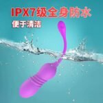 Gemini Wireless Remote Thrusting Vibrating Egg, Wearable Kegel Massager - Image 4
