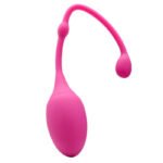 Magnetic Kegel Balls for Women, Pelvic Floor Exercise Weights - Image 6