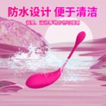 App Long-Distance Remote Control Vibrating Egg, Quiet Wearable Toy - Image 4