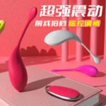 Wireless Remote Control Wearable Vibrating Egg, Clitoral Stimulator