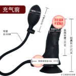 Inflatable Realistic Dildo Anal Plug, Expandable Silicone Penis Massager - Image 2