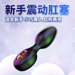 Hurricane Vibrating Butt Plug with Pull Ring, Prostate Massager