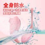 Clitoral Sucking Vibrating Egg Set for Women - Image 4