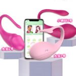 App Remote Control Wearable Vibrating Egg for Women, Long-Distance Toy - Image 5